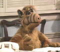 alf1.gif