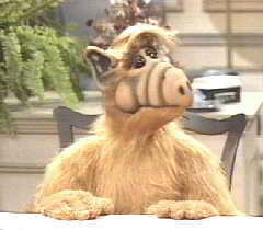 alf3.gif